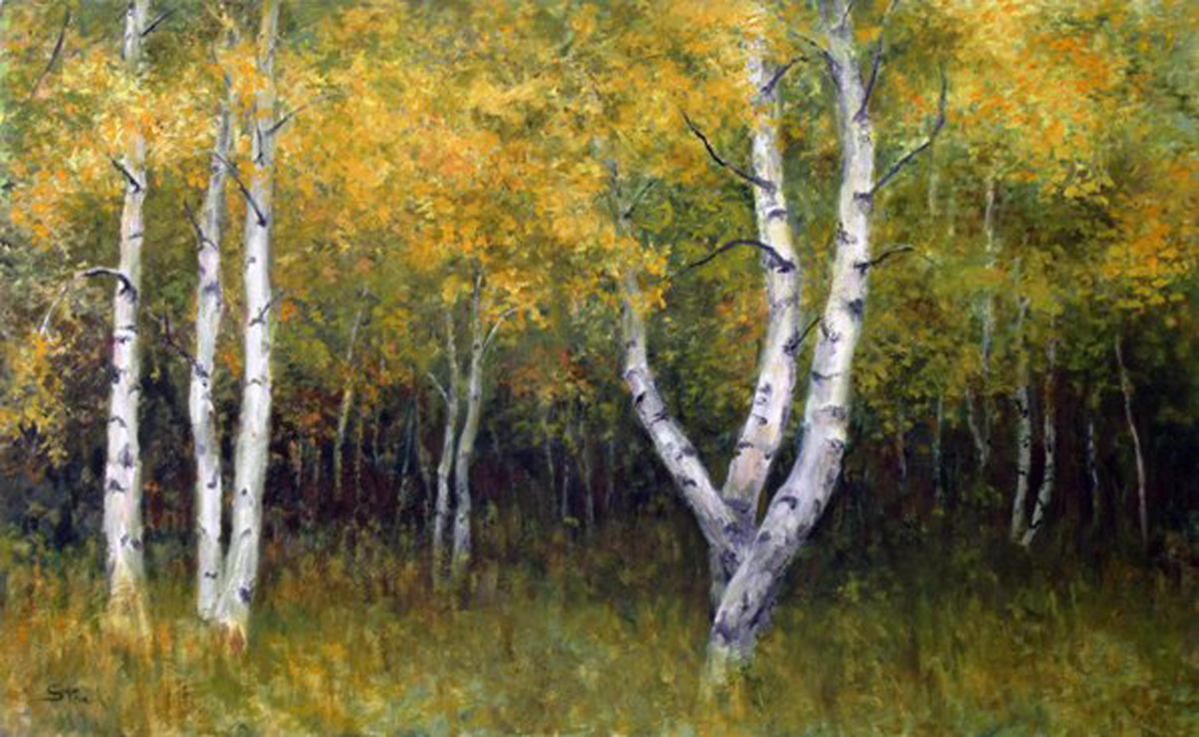 Birch, oil on canvas by Frank Stock